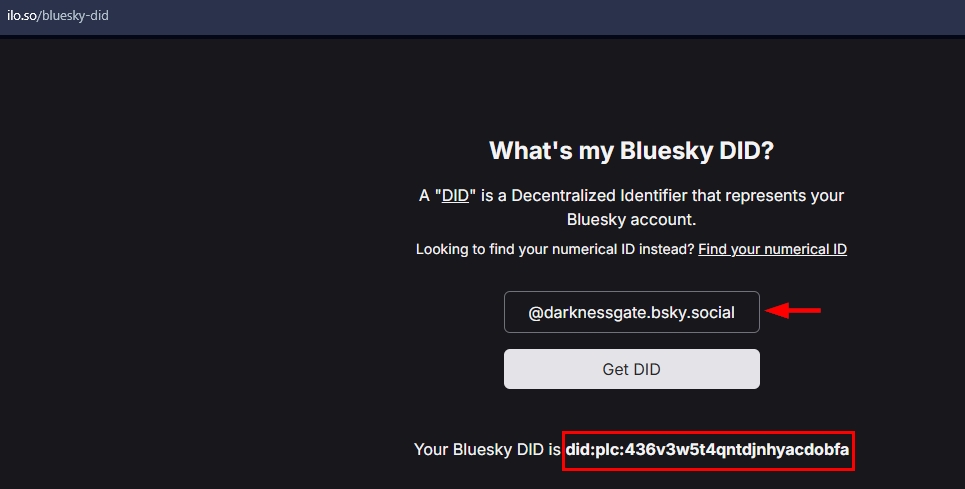 Retrieving Bluesky DID using a third-party service
