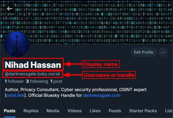 The Bluesky display name and username